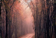 英超|曼聯35年來首次下游過聖誕 死球又出事 阿莫林:責任在我.