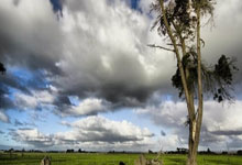 20/21賽季歐冠1/8決賽首回合比賽集錦.