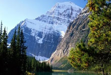 九博体育:「小心這些面孔」ICE幹員海報到處貼 掃蕩無證客受挫.